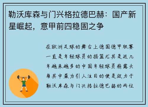 勒沃库森与门兴格拉德巴赫：国产新星崛起，意甲前四稳固之争